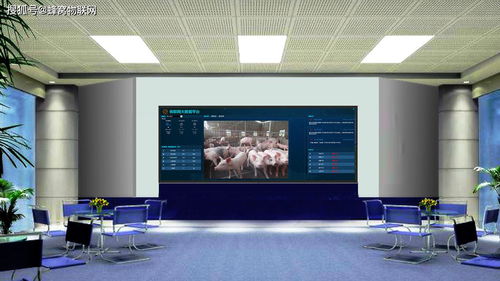 蜂窝农业物联网 构建智慧养猪新范式，赋能企业总部高效管理